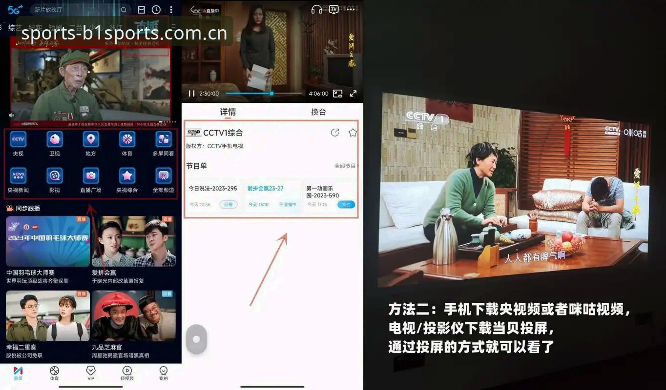 b体育安全登录安装失败实用解决技巧与必备知识