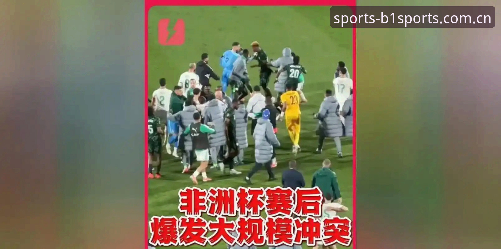 b体育官网版登录 世界杯观赛受阻:从签证危机看国际体育赛事的实用应对策略